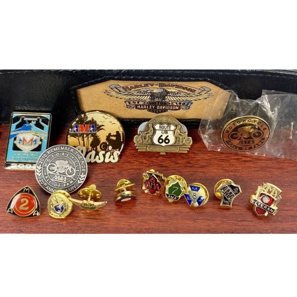 American Motorcycle Association (AMA) Vest/Lapel Pins Set Of 14 Total Pins